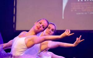 57ea682cd9794_danseclassique.jpg